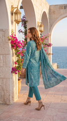 Bin Qasim Chikankari Premium Lawn Suit